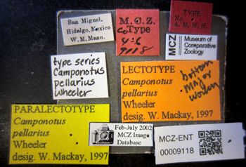 Media type: image;   Entomology 9118 Aspect: labels
